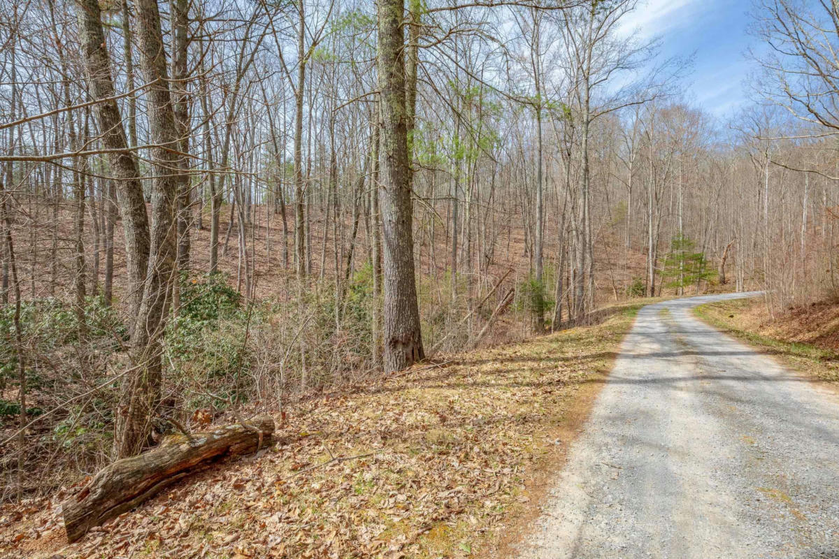 TBDLOT9 N SUNSET LANE, BLAND, VA 24315, photo 1 of 29