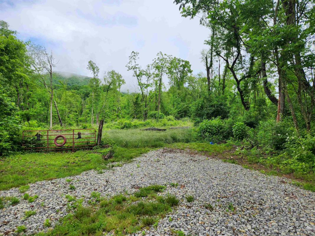 TBD PULASKI GILES TURNPIKE TURNPIKE, PEARISBURG, VA 24134, photo 1 of 5