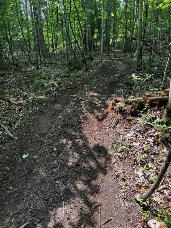 TBD SNIDOW TRACT 7B ROAD, PEMBROKE, VA 24136, photo 1 of 4