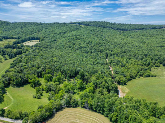 TBD SUMPTER ROAD, WILLIS, VA 24380 - Image 1