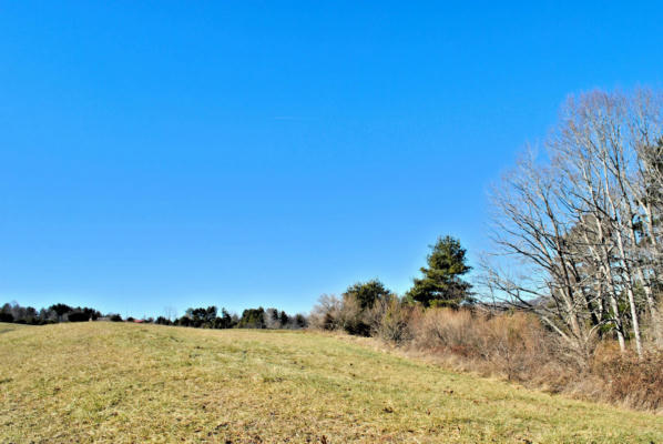 TBD TRACT 11 TURMAN DRIVE, RINER, VA 24149 - Image 1